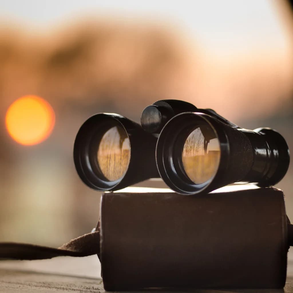 Fernglas auf einem Buch im warmen Licht der untergehenden Sonne