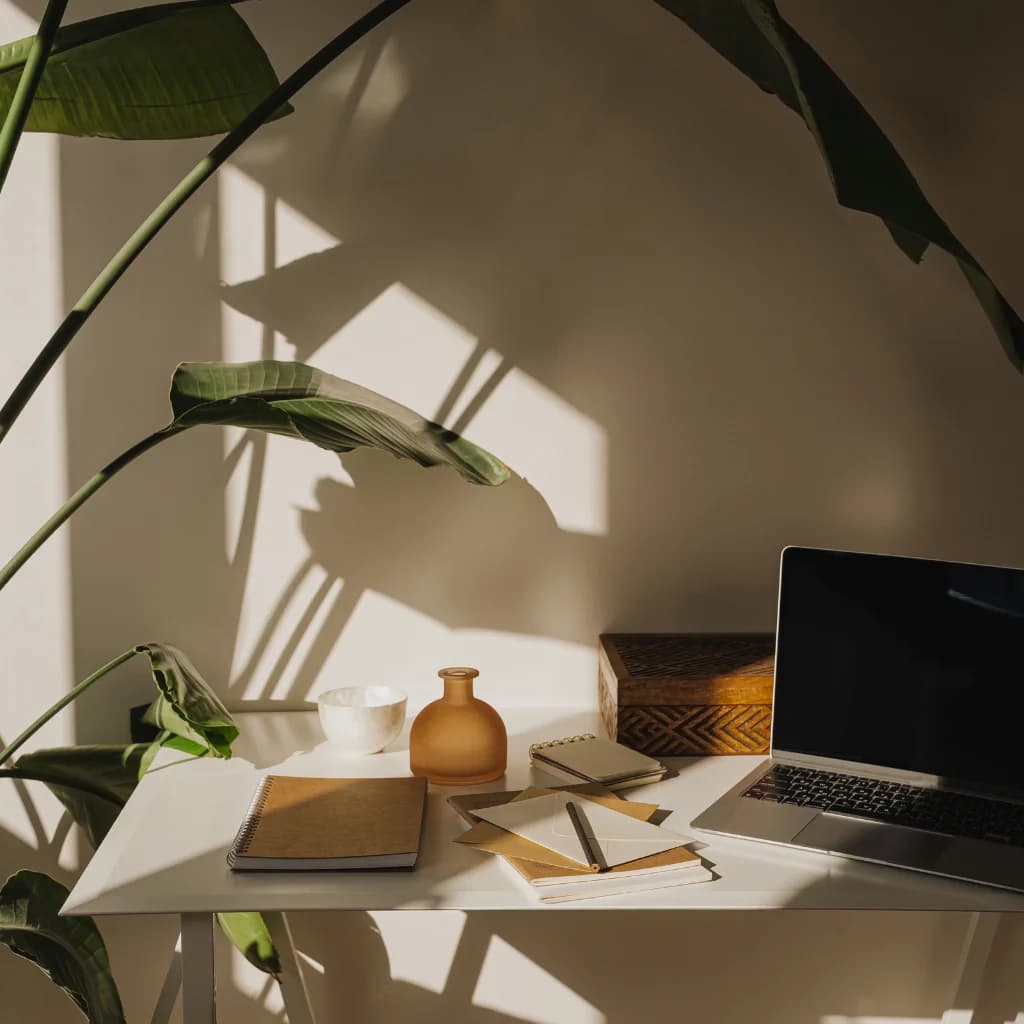 Ruhiger Arbeitsplatz mit Laptop, Büchern und Pflanze im Sonnenlicht